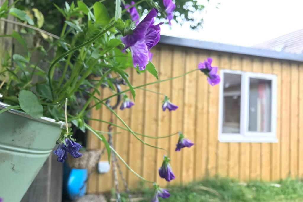 An Cabar Apartment Aviemore Ngoại thất bức ảnh